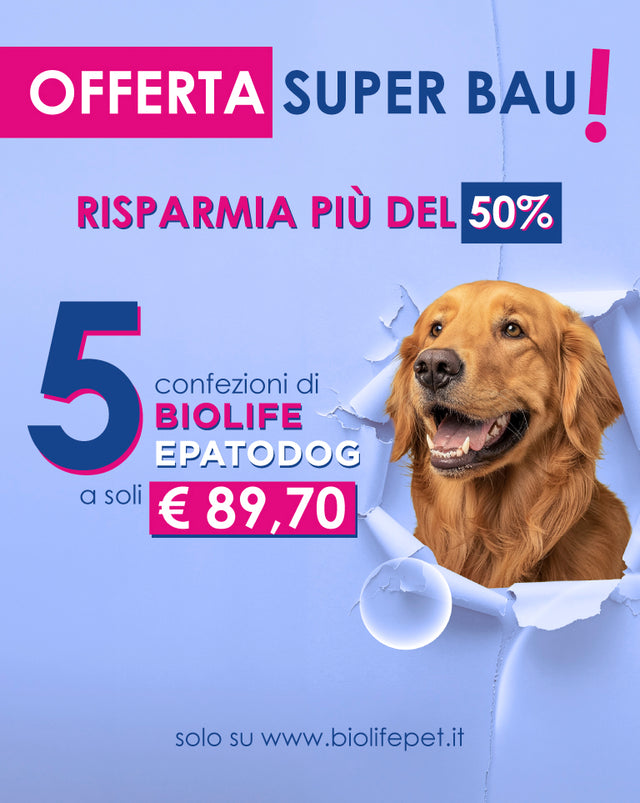 Biolife Animal Biolife Pet