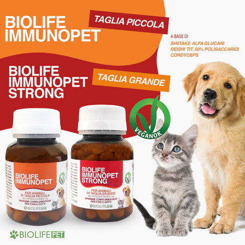 Biolife Immunopet Strong | Based on Shiitake, 50% Titrated Reishi, and Cordyceps | 60 Capsules for Large Breeds | 