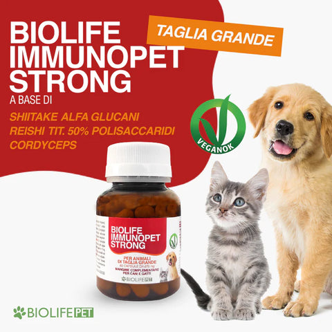 Biolife Immunopet Strong | Based on Shiitake, 50% Titrated Reishi, and Cordyceps | 60 Capsules for Large Breeds | 